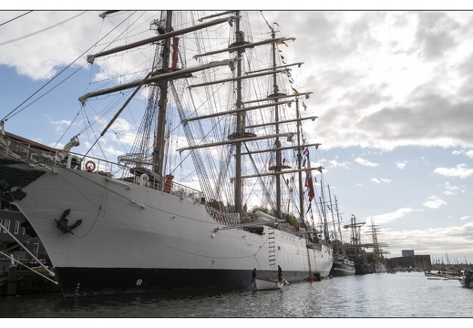 20250823-Sail-Sloeproeien-255